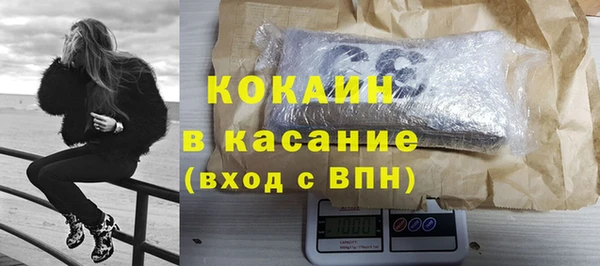 шишки Новодвинск