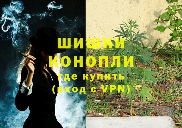 мяу мяу мука Абаза