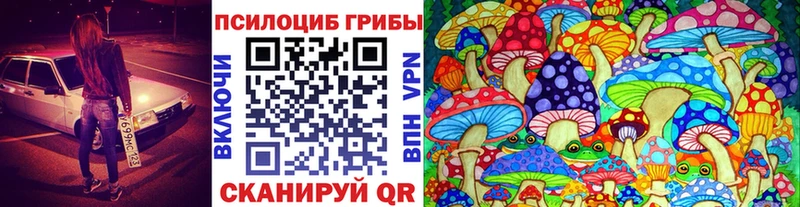 Галлюциногенные грибы Magic Shrooms  Ужур 